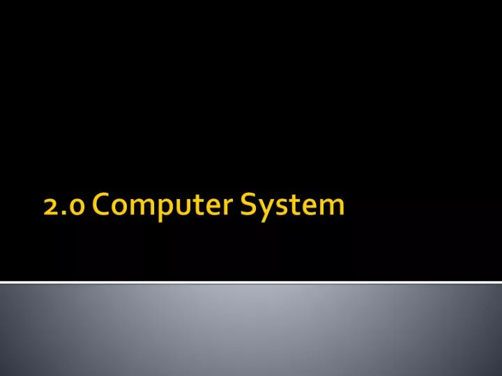 2 0 computer system