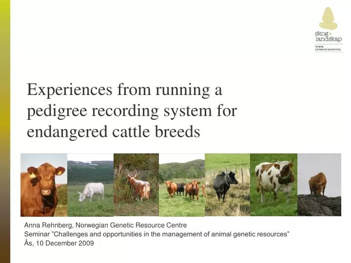 experiences from running a pedigree recording system for endangered cattle breeds