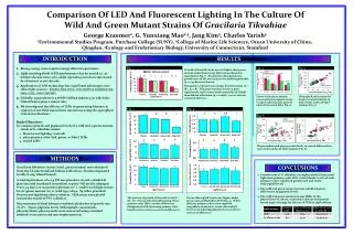 Comparison Of LED And Fluorescent Lighting In The Culture Of