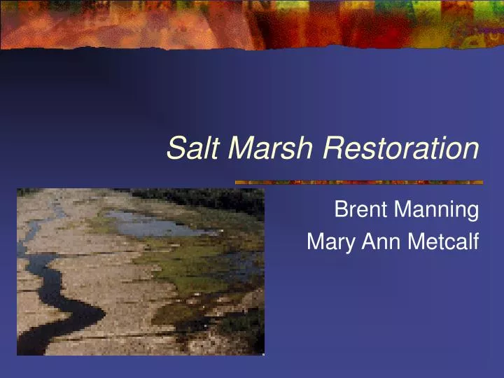 salt marsh restoration