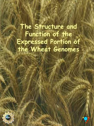The Structure and Function of the Expressed Portion of the Wheat Genomes