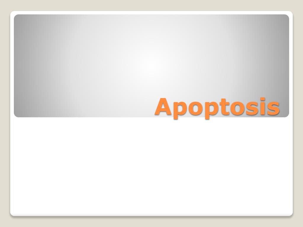 PPT - Apoptosis PowerPoint Presentation, free download - ID:2746655