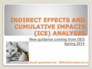 INDIRECT EFFECTS AND CUMULATIVE IMPACTS (ICE) ANALYSES