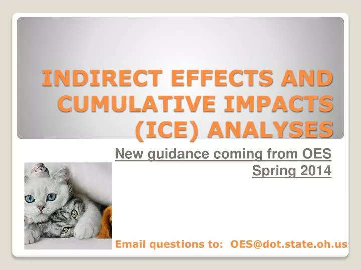indirect effects and cumulative impacts ice analyses