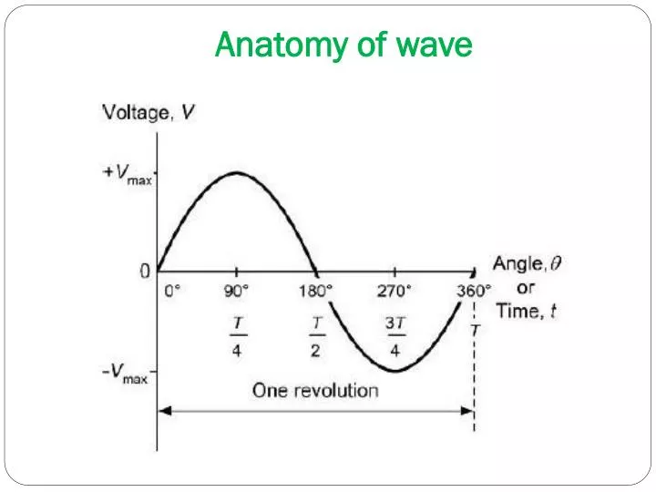anatomy of wave