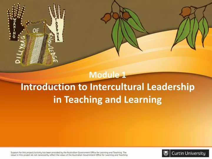 module 1 introduction to intercultural leadership in teaching and learning