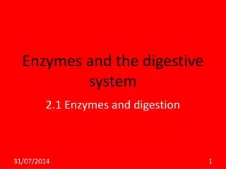 Enzymes and the digestive system