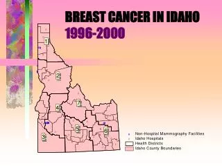BREAST CANCER IN IDAHO 1996-2000