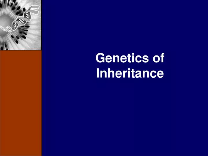 genetics of inheritance
