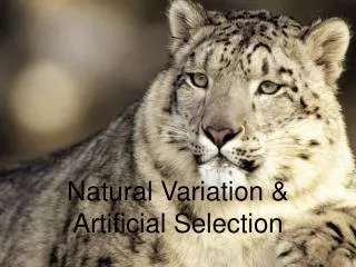 Natural Variation &amp; Artificial Selection