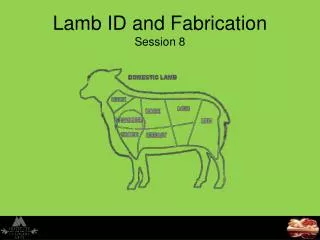 Lamb ID and Fabrication Session 8