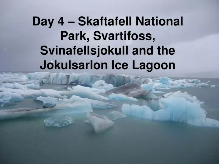 day 4 skaftafell national park svartifoss svinafellsjokull and the jokulsarlon ice lagoon