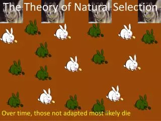 The Theory of Natural Selection