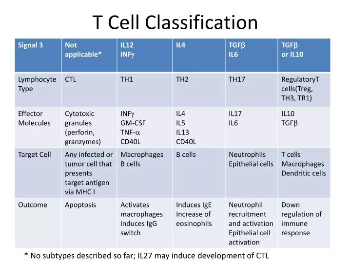 t cell classification