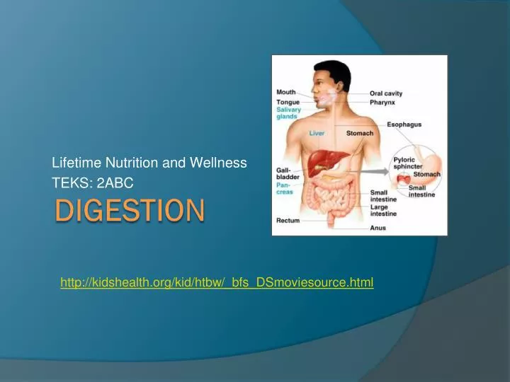 lifetime nutrition and wellness teks 2abc