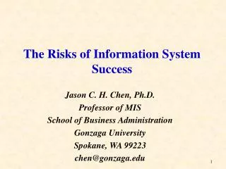 The Risks of Information System Success