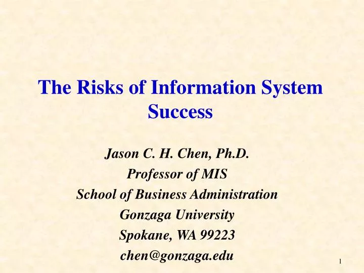 the risks of information system success