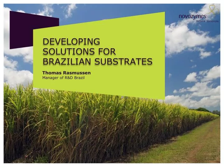 developing solutions for brazilian substrates