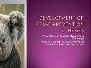 Development of crime prevention schemes