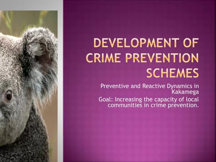 development of crime prevention schemes
