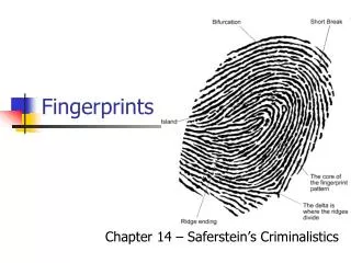 Fingerprints