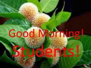Good Morning! Students!
