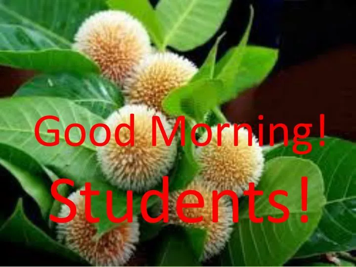 good morning students