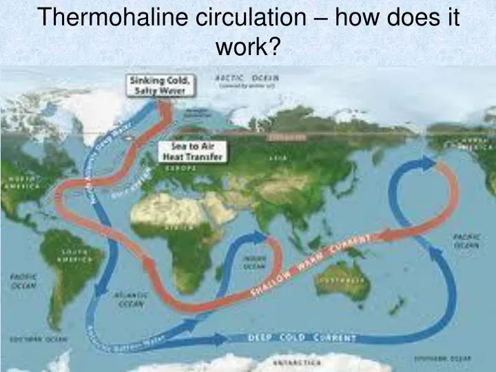 thermohaline circulation how does it work