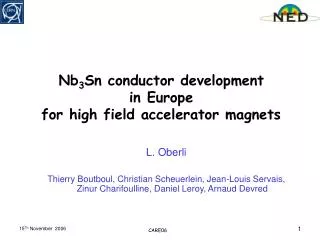 Nb 3 Sn conductor development in Europe for high field accelerator magnets