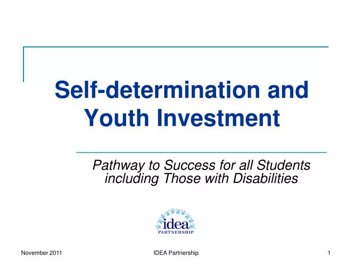 self determination and youth investment