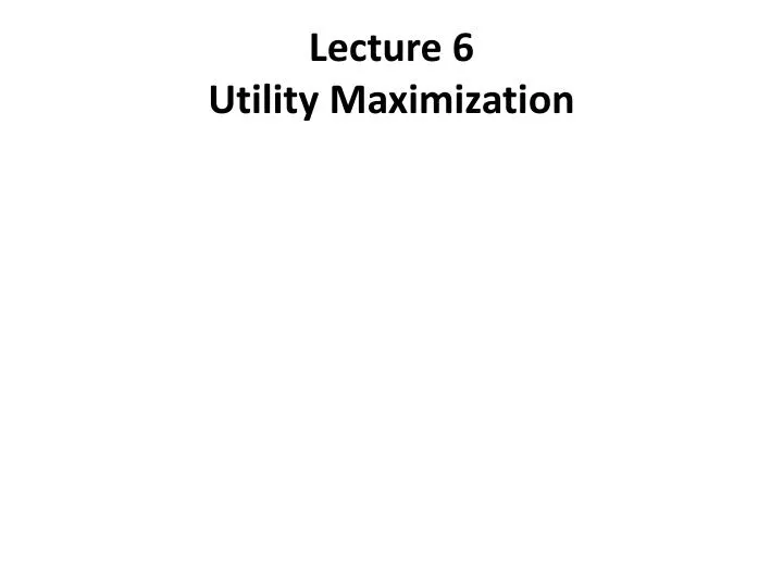 lecture 6 utility maximization