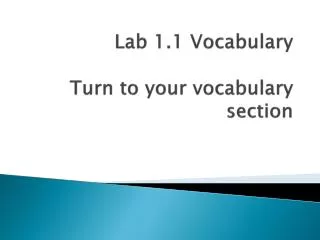 lab 1 1 vocabulary turn to your vocabulary section
