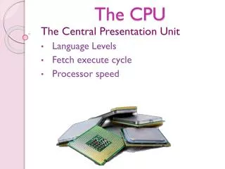 The CPU