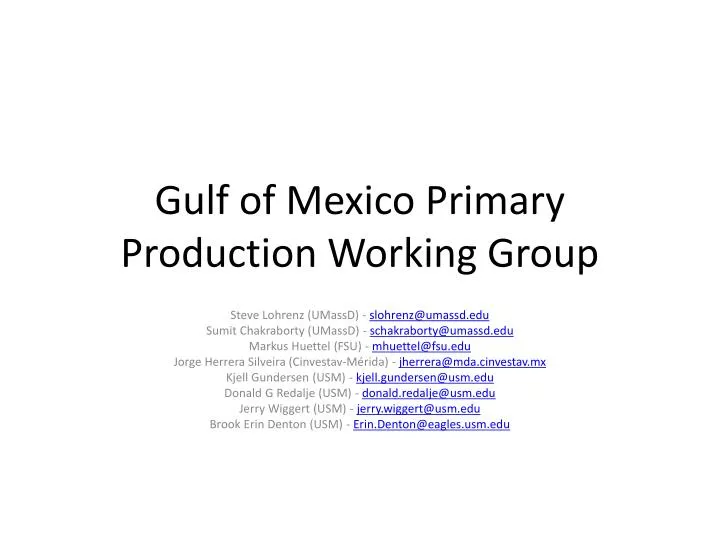 gulf of mexico primary production working group