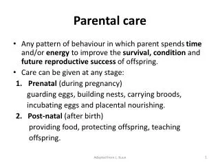 Parental care