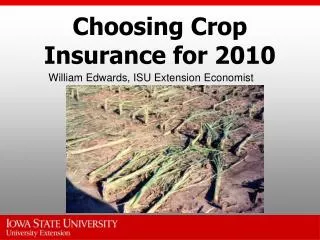 Choosing Crop Insurance for 2010