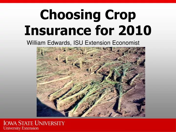 choosing crop insurance for 2010