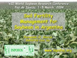 Soil Fertility Management for Soybean in Argentina