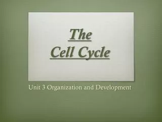 The Cell Cycle