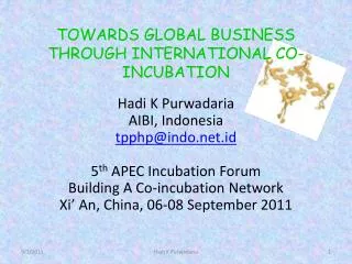 TOWARDS GLOBAL BUSINESS THROUGH INTERNATIONAL CO-INCUBATION