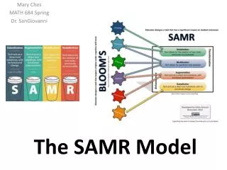 The SAMR Model