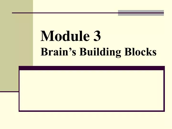 module 3 brain s building blocks