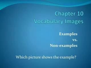 Chapter 10 Vocabulary Images