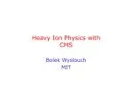 Heavy Ion Physics with CMS - slide 1