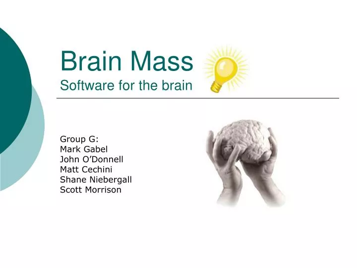 brain mass software for the brain