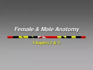 Female &amp; Male Anatomy