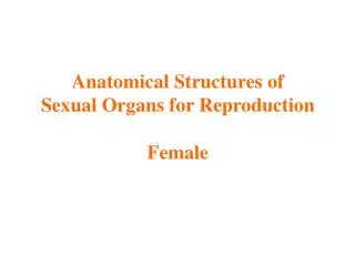 Anatomical Structures of Sexual Organs for Reproduction Female