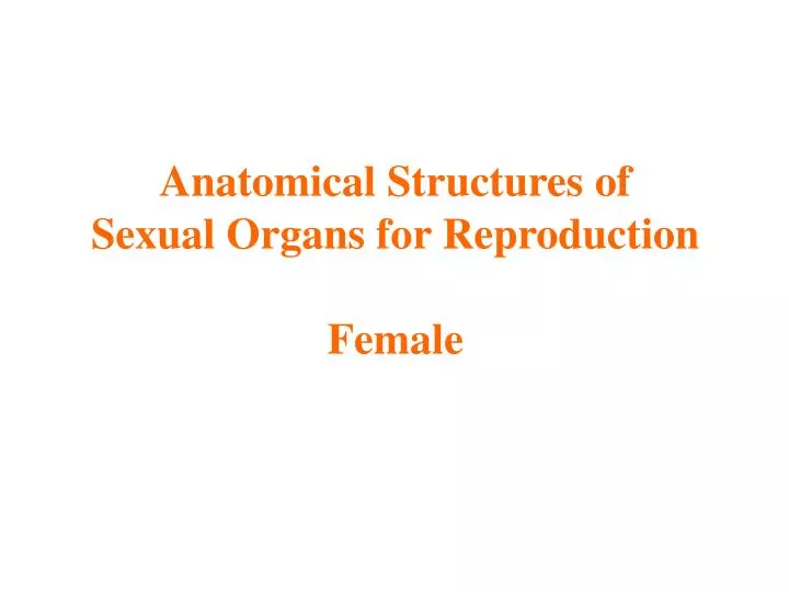anatomical structures of sexual organs for reproduction female