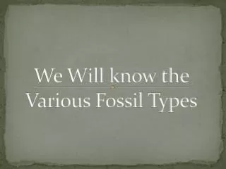 We Will know the Various Fossil Types