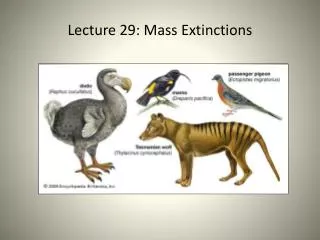 Lecture 29 : Mass Extinctions